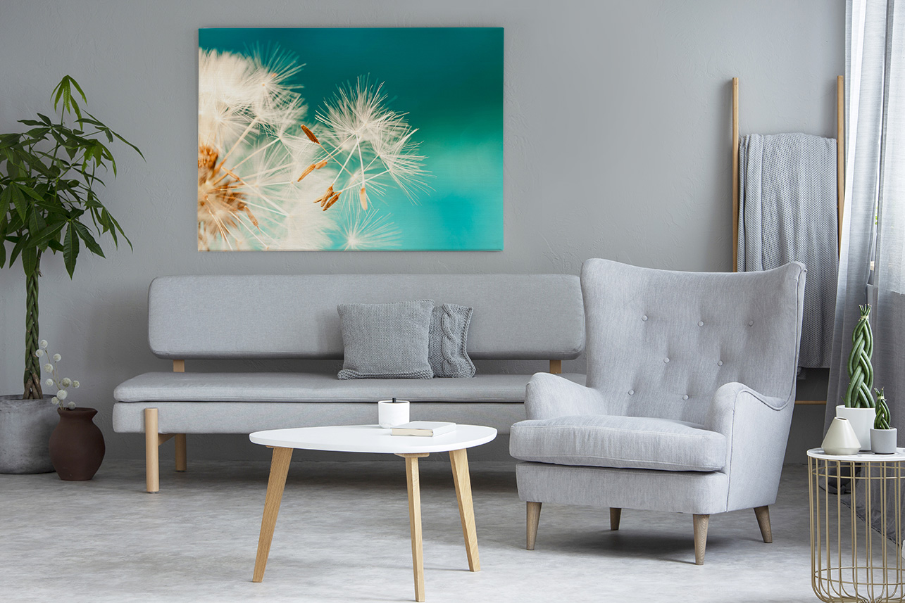 Bild Pusteblume Makrofotografie im Wohnzimmer