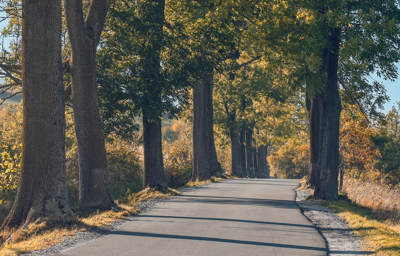 Growing Skills That Shape Safer Landscapes
