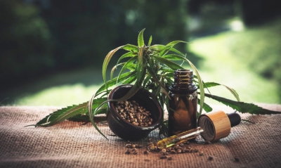 cbd