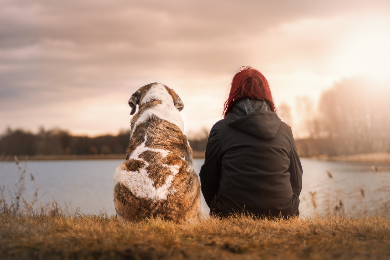 maison pour gardiens d&#039;animaux