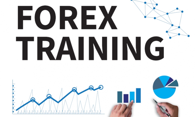 professionelle Forex-Schulungen