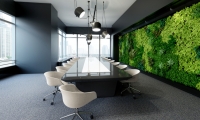 Idealny pomysł na urządzenie biura – zielone ściany