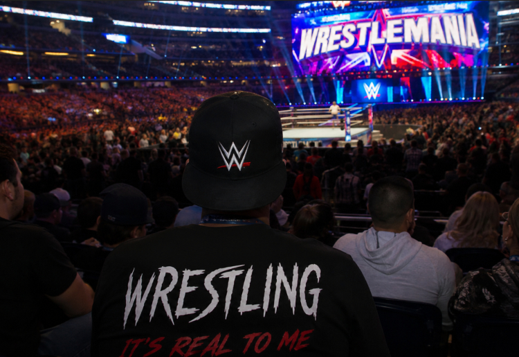 How to start watching wrestling
