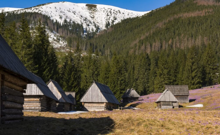 Zakopane Apartamenty