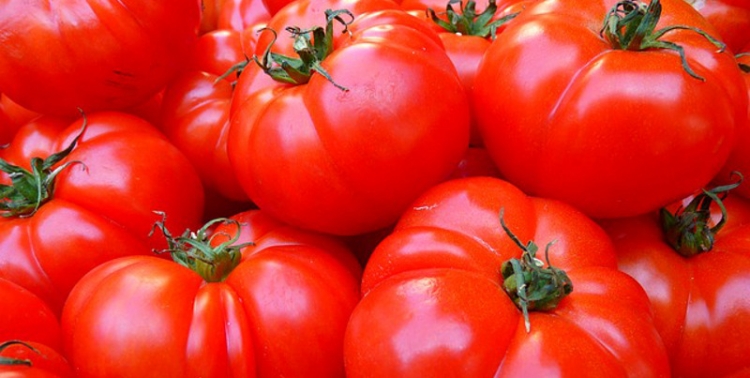 La batalla del tomate regresa a Buñol